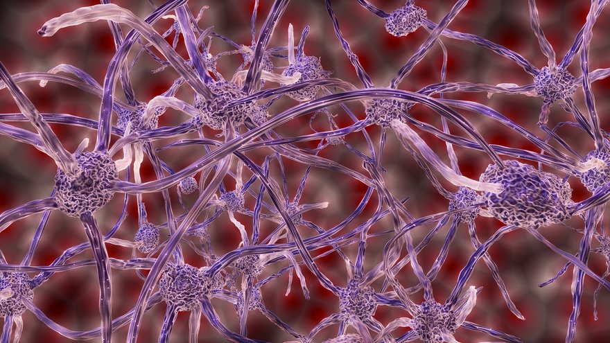Artist's depiction of neurons