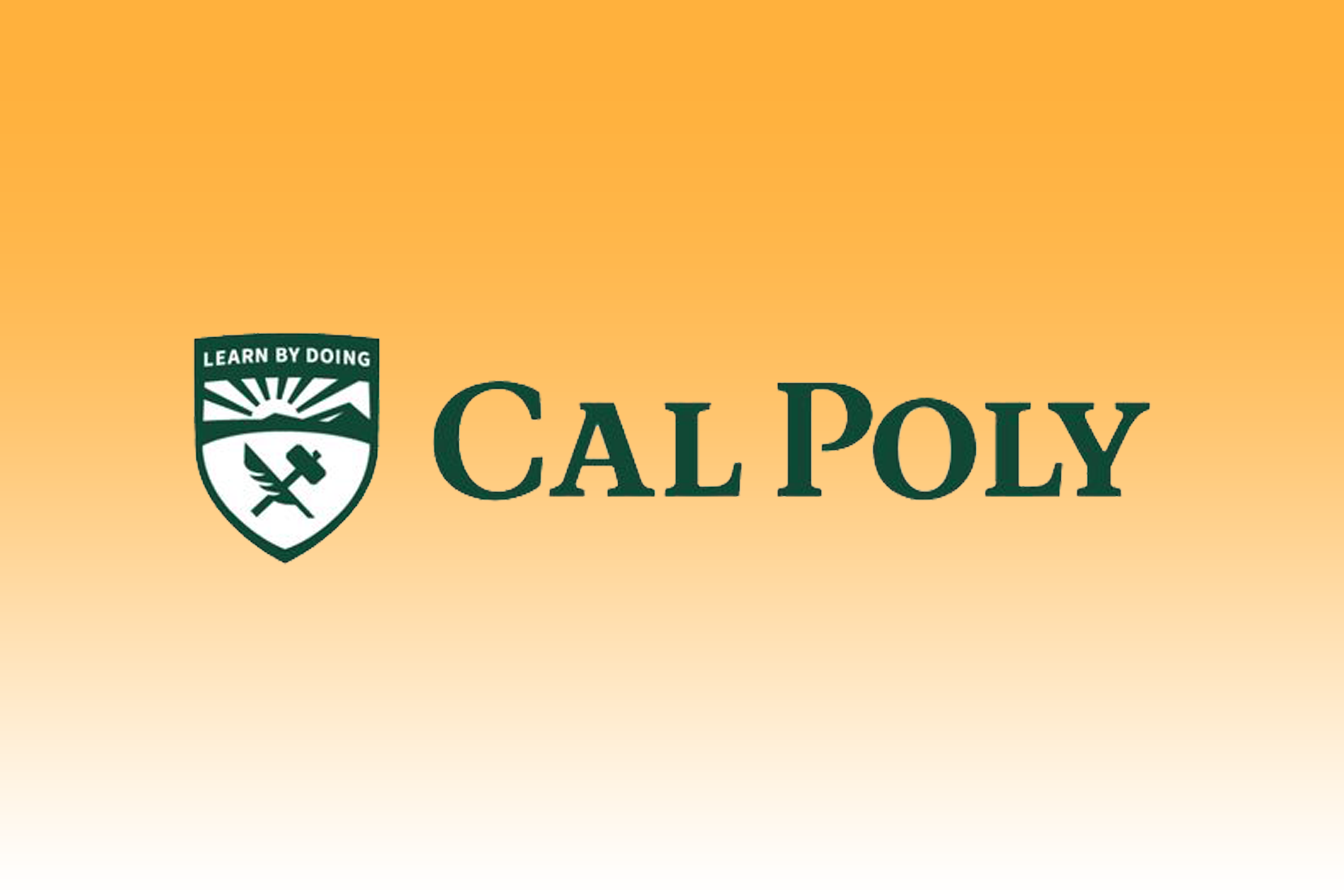 cal poly resume workshop